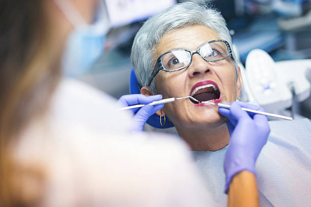  Vermilion, OH Dental Services Pros